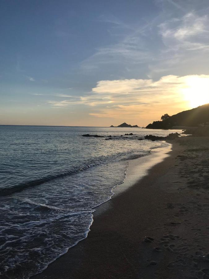 Magnifique Villa Recente Entre Mer Et Montagne Situee Entre Ajaccio Et Porticcio Cauro Экстерьер фото